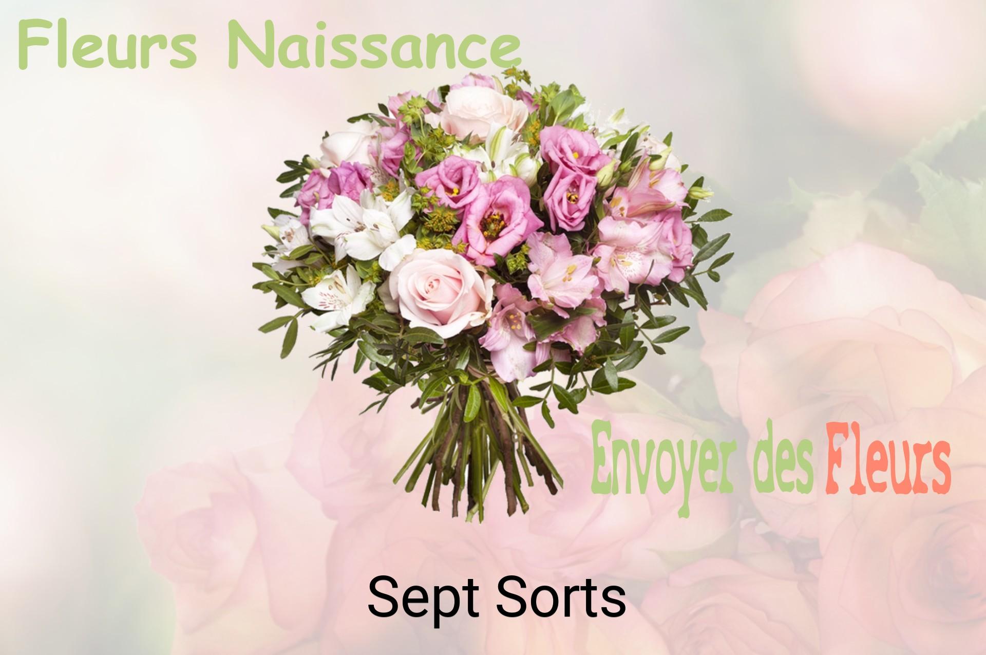 Bouquet de fleurs de naissance livré à Sept-Sorts
